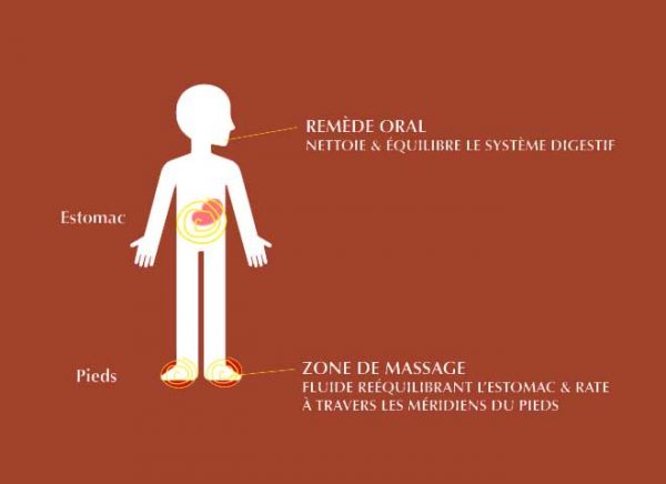 Fluide Vitalité Terre – Image 3