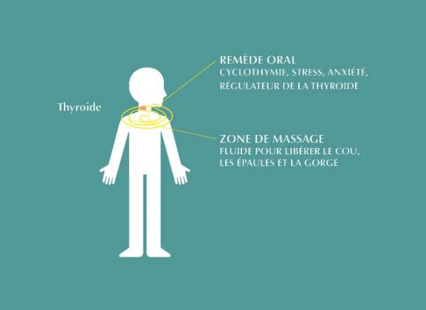 Fluide Ré-équilibrant Lac – Image 3