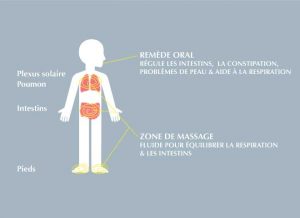Fluide de l’Instant Vent – Image 3