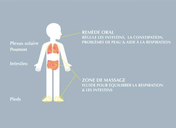 Fluide de l’Instant Vent – Image 3